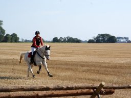 314158_10151090366553585_723654642_n